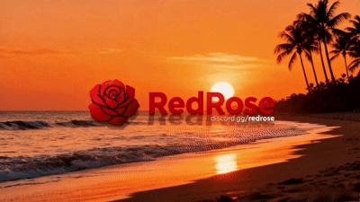 Discovery splash banner for RedRoseâ„¢ Discord server