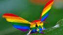 Discovery splash banner for Gay Station Discord server