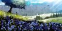 Discovery splash banner for ๐ชท ๐๐๐๐ฏ๐ถ๐ถ | HMCโข Discord server