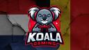 Discovery splash banner for KOALA Gaming ๐จ๐ฎ ๐ณ๐ฑ๐ง๐ช Discord server