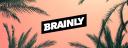 Discovery splash banner for Brainly HQ Discord server
