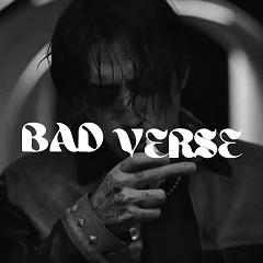 Discovery splash banner for BAD VERSE ۶ৎ Discord server