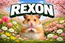Discovery splash banner for Rexon Mods Discord server