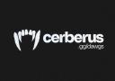 Discovery splash banner for Cerberus ㆍSocialㆍNitroㆍVCㆍGamingㆍ16+ Discord server