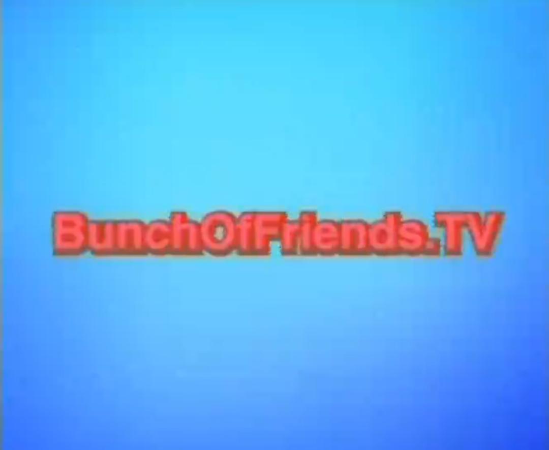 Discovery splash banner for ⊱ Bunch of Friends Fan-Server Discord server
