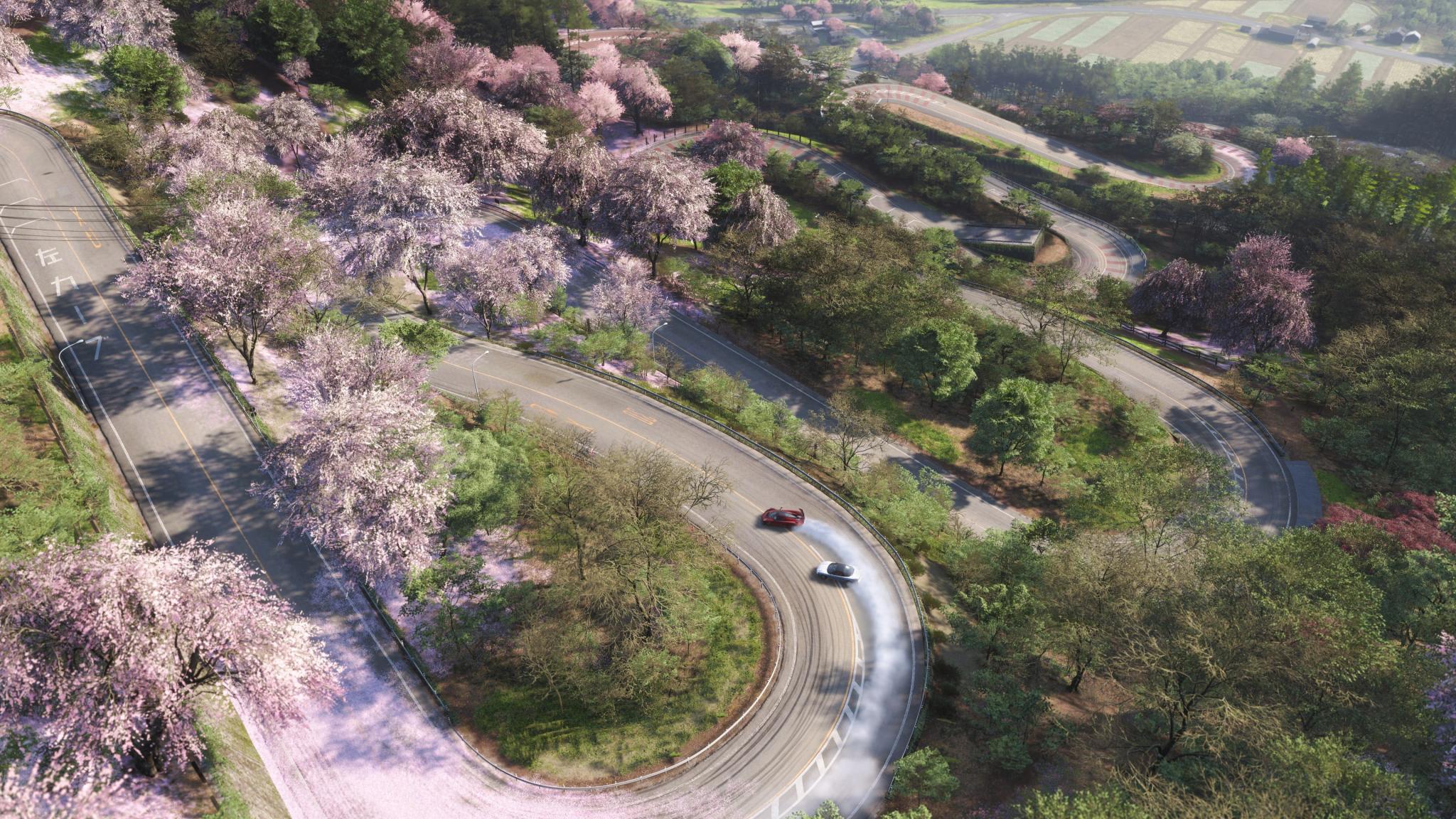 Discovery splash banner for #BUDDY | FORZA HORIZON 6 Discord server