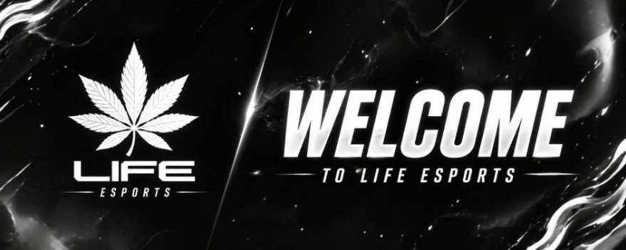 Discovery splash banner for LiFE ESPORTS • 🇮🇳 1800+ Discord server