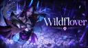 Discovery splash banner for Wildflover Discord server