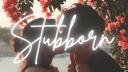 Discovery splash banner for Stubborns™ • Chill • Social • Gaming • gws Discord server