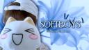 Discovery splash banner for Softboys Discord server