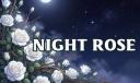 Discovery splash banner for Night Rose || WWM Warframe Palworld Valheim Discord server
