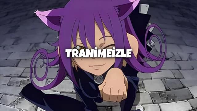 Discovery splash banner for Tranimeizle Discord server