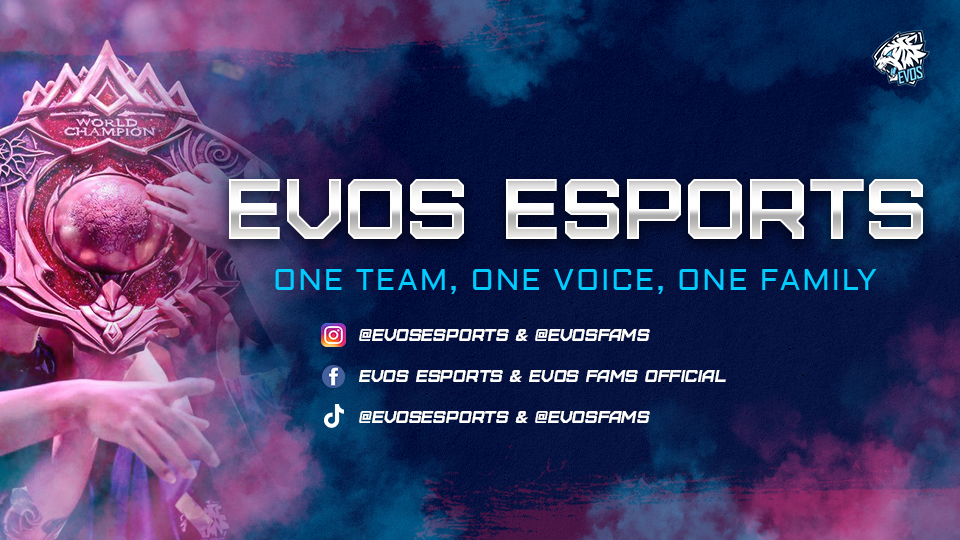 Discovery splash banner for EVOS HUB Discord server