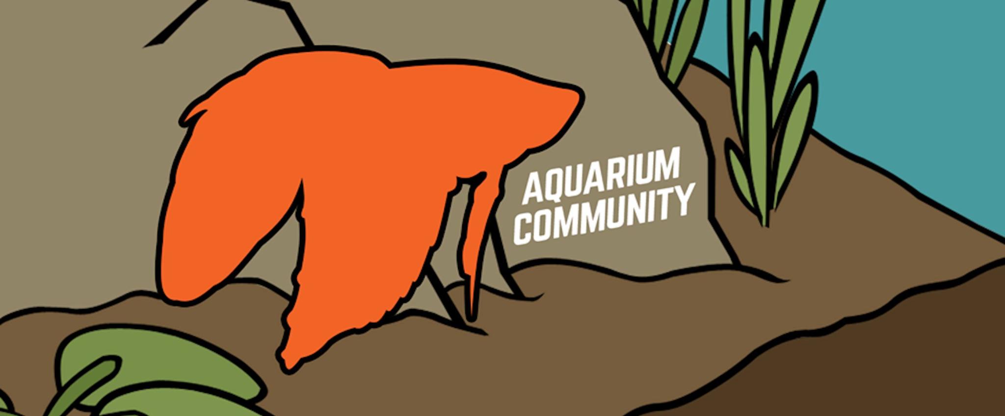 Discovery splash banner for Aquarium Community Discord server