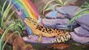 Discovery splash banner for Leopard Geckos Discord server