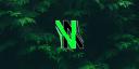 Discovery splash banner for NoNick Store Discord server