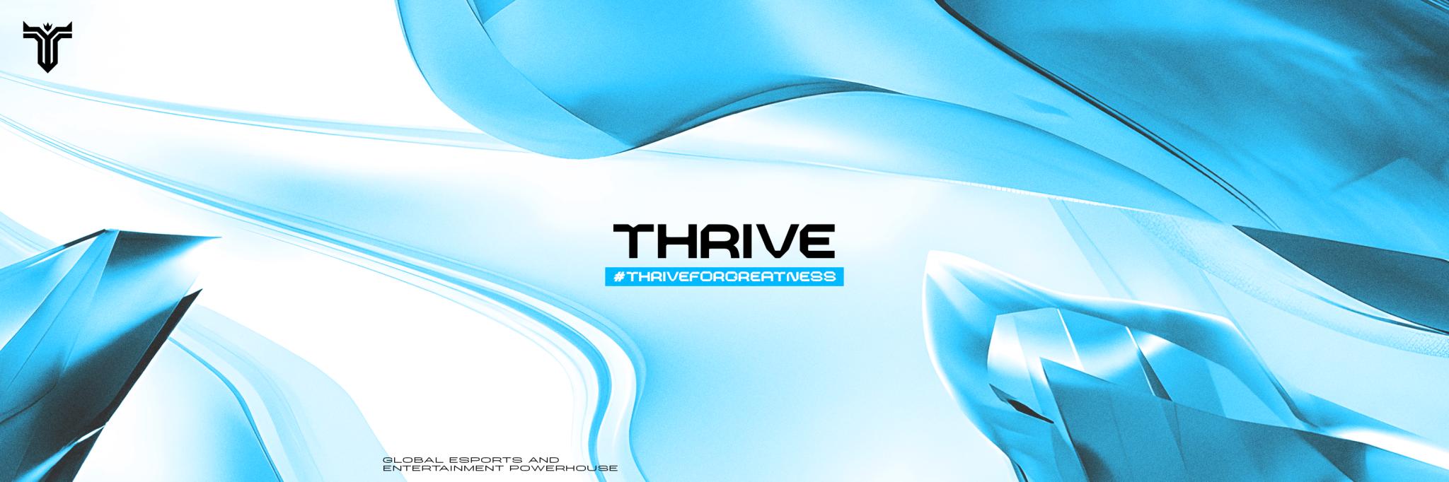 Discovery splash banner for Official ThriveGG Discord server