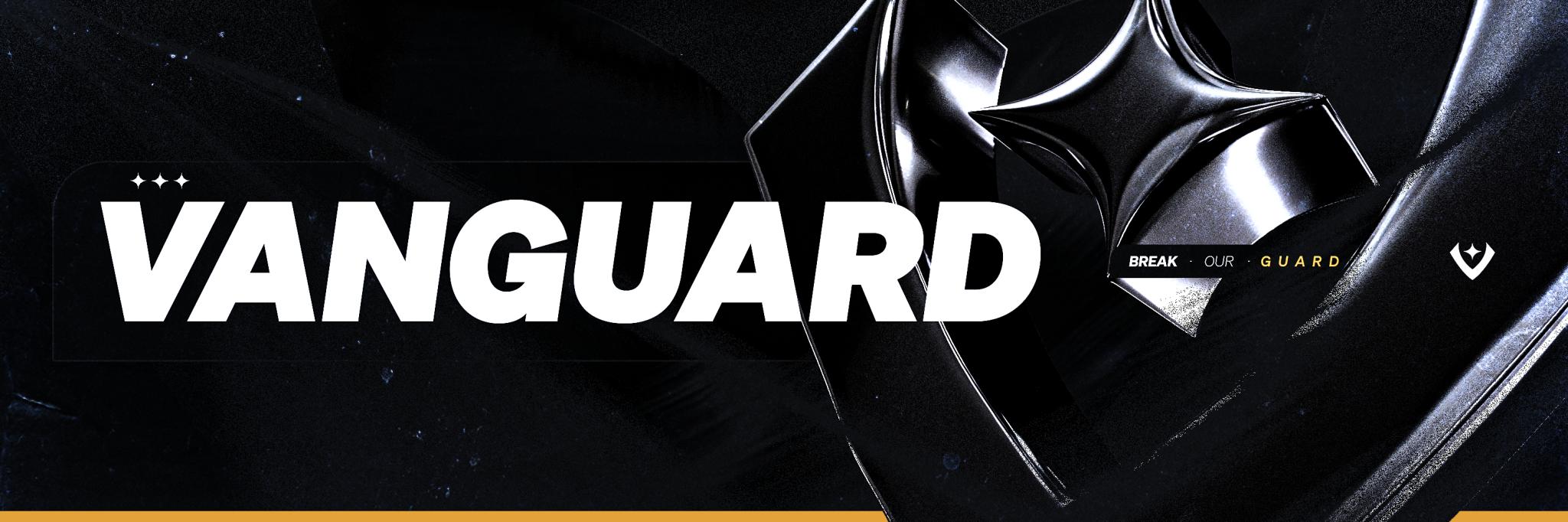 Discovery splash banner for Vanguard Gaming Discord server