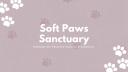 Discovery splash banner for Soft Paws Sanctuary 🐾 Discord server