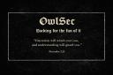 Discovery splash banner for OwlSec Discord server