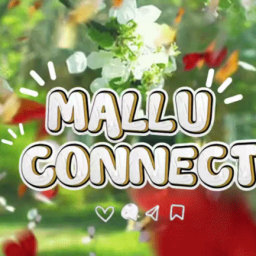 Discovery icon for ๐ ๐ฎ๐๐๐ ๐๐ผ๐ป๐ป๐ฒ๐ฐ๐ง Discord server