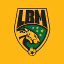 Discovery icon for LBM® Mamoball #4K Discord server