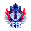 Discovery icon for Pepo Sp Black ⚽ Discord server