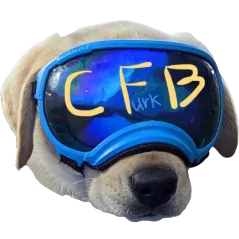 Discovery icon for CFBcord Discord server