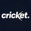 Discovery icon for Cricket. Discord server