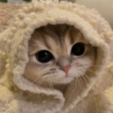 Discovery icon for Cat Community Discord server