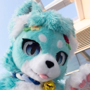Discovery icon for Cat Collective Discord server